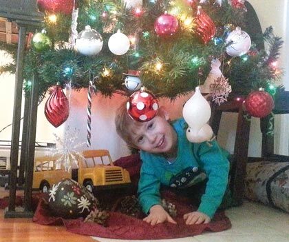 Queens Chronicle’s 14th annual Holiday Photo Contest 1